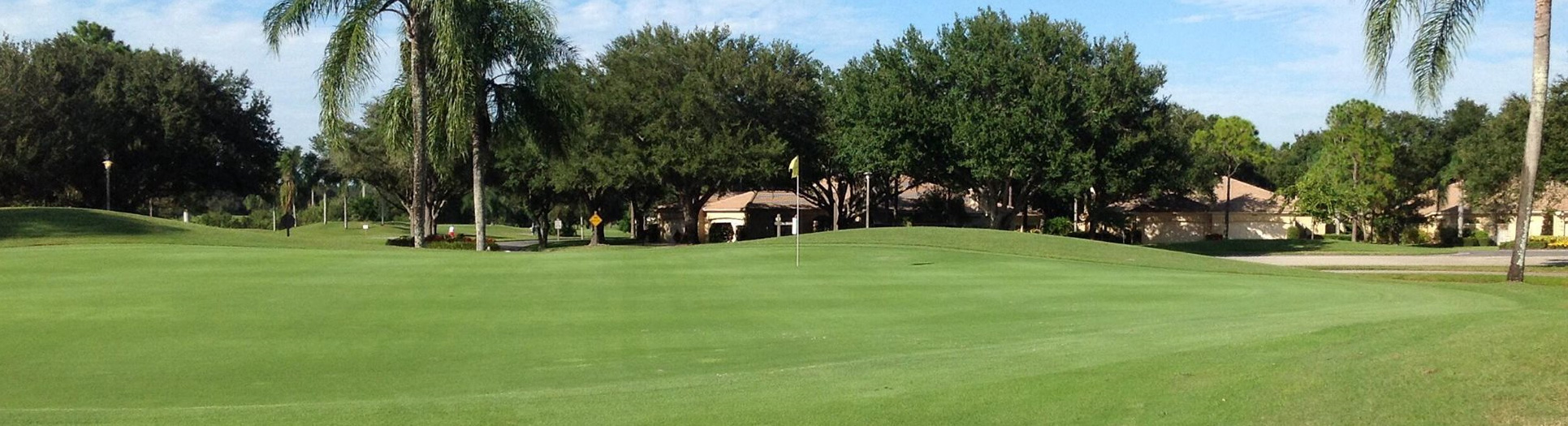 Image of golf ball on tee on grass.